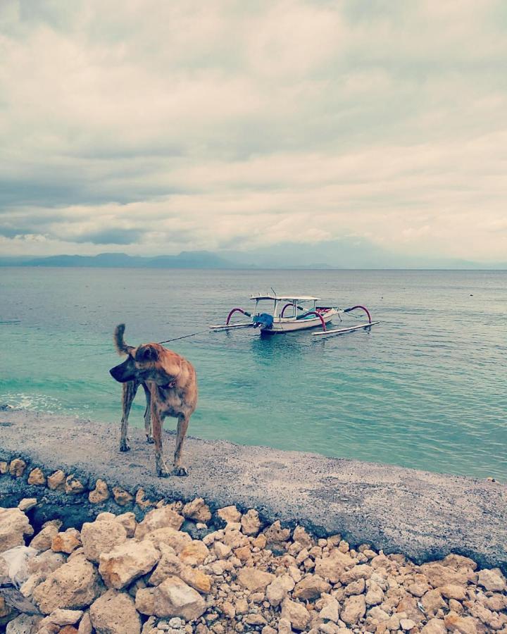 Vns Beachfront Guesthouse Toyapakeh Εξωτερικό φωτογραφία